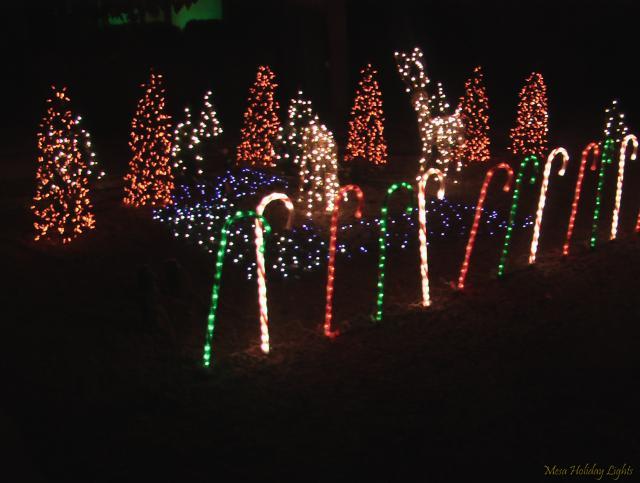 Candy Canes and Mini-Tree forest with deer