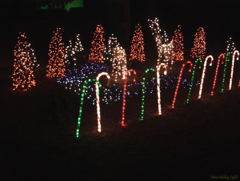 Candy Canes and Mini-Tree forest with deer