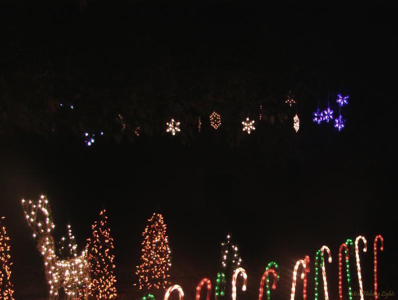 Snowflakes over forest
