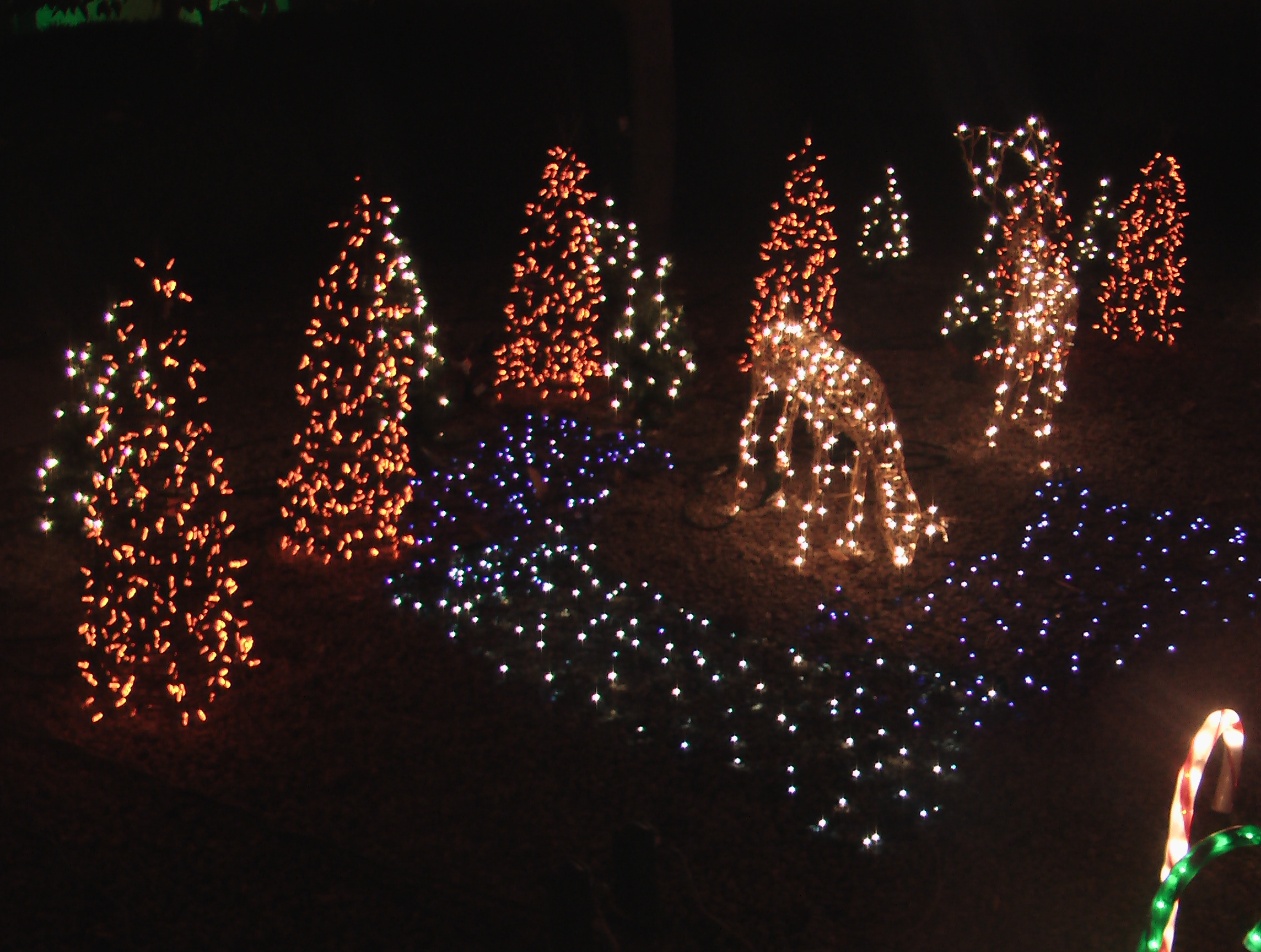 Deer, pond, and mini-tree forest