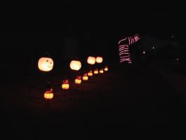 Phase 1: Pumkins and Trees Closeup