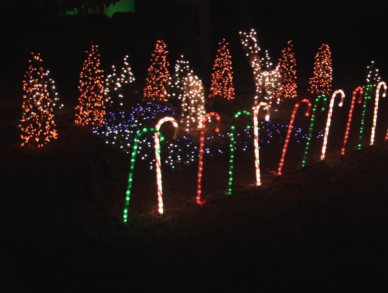 Candy Canes and Mini-Tree forest with deer