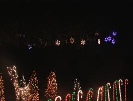 Snowflakes over forest