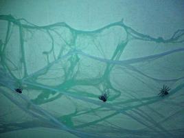 Spiderwebs and spiders