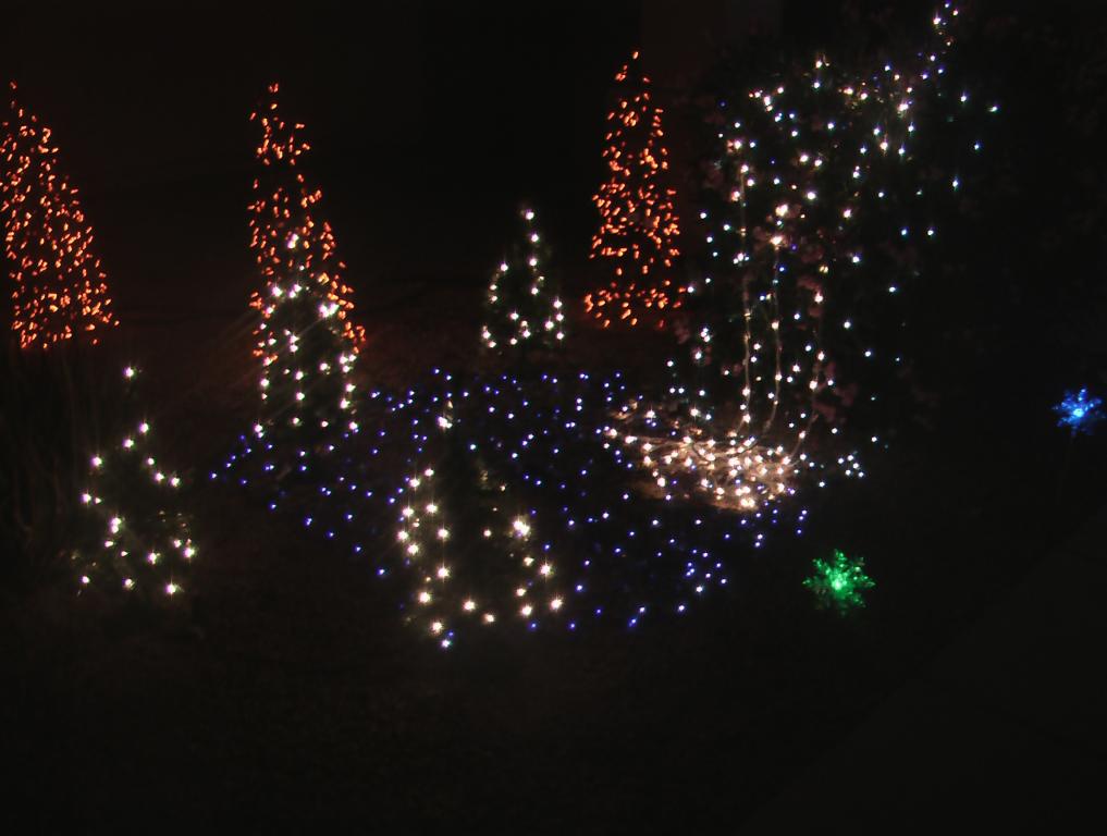 Waterfall pond and trees