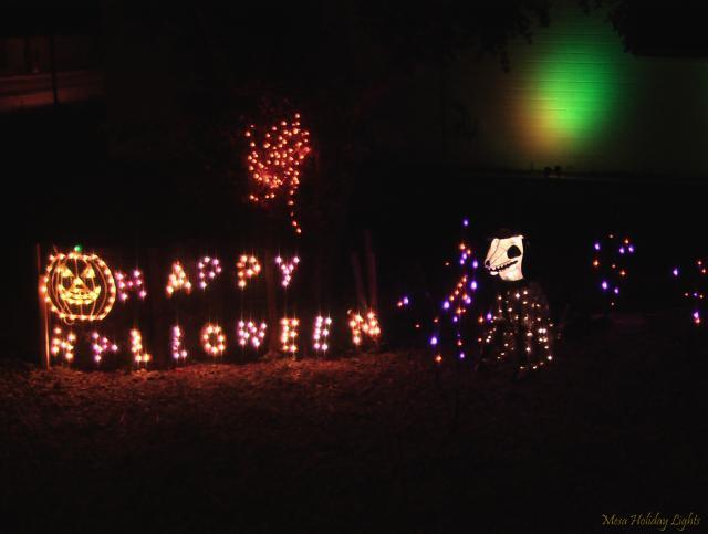 Happy Halloween and Dog