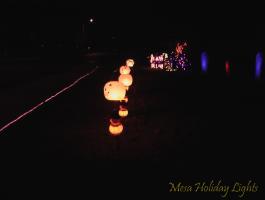 Side View Pumpkins