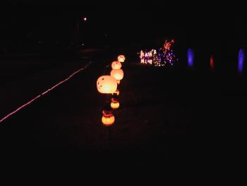 Side View Pumpkins