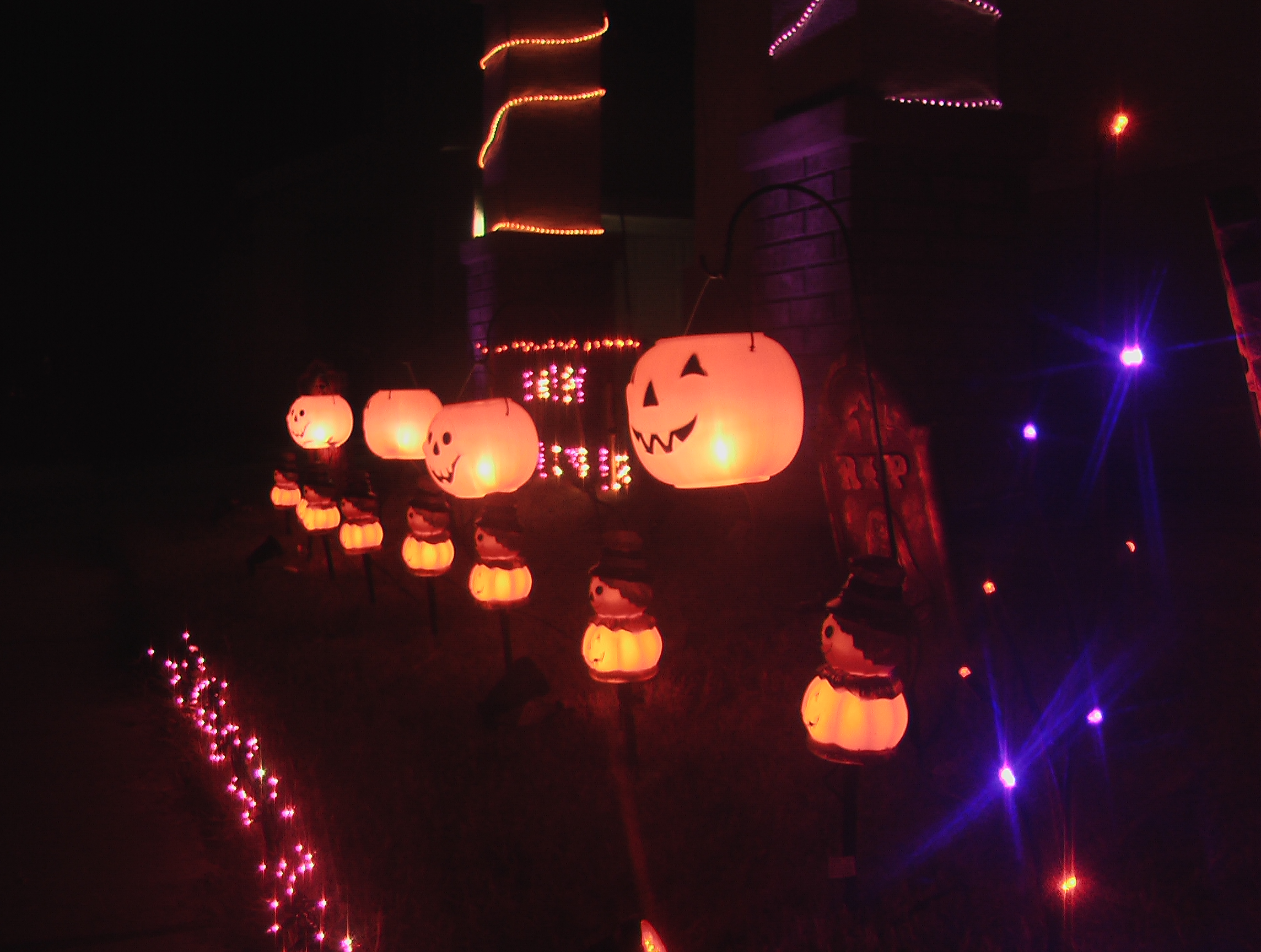 Update: Pumpkins from right side.